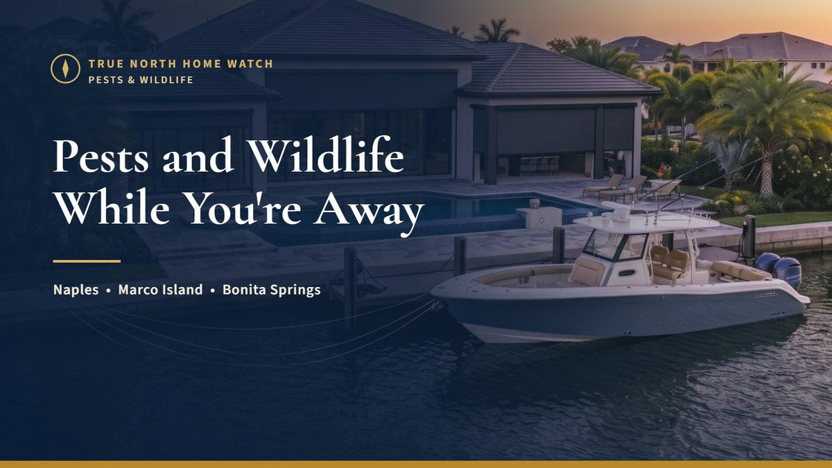 Southwest Florida waterfront home with a tidy exterior and landscaping, illustrating pests and wildlife in a closed-up Florida home
