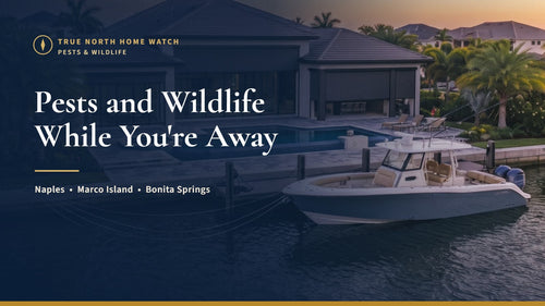 Southwest Florida waterfront home with a tidy exterior and landscaping, illustrating pests and wildlife in a closed-up Florida home